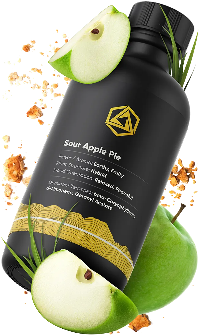 Sour Apple Pie