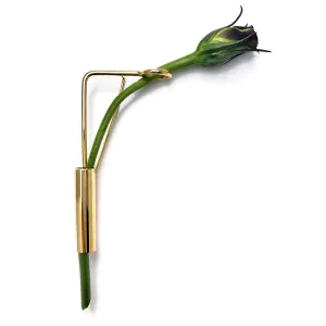 Splint Botanical Brooch in Gold