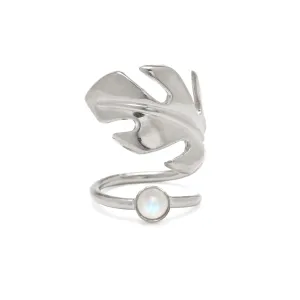 Stera Moonstone Ring in Silver