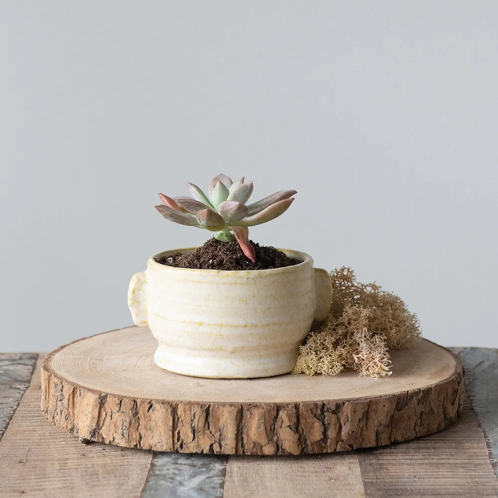 Sunny Pot