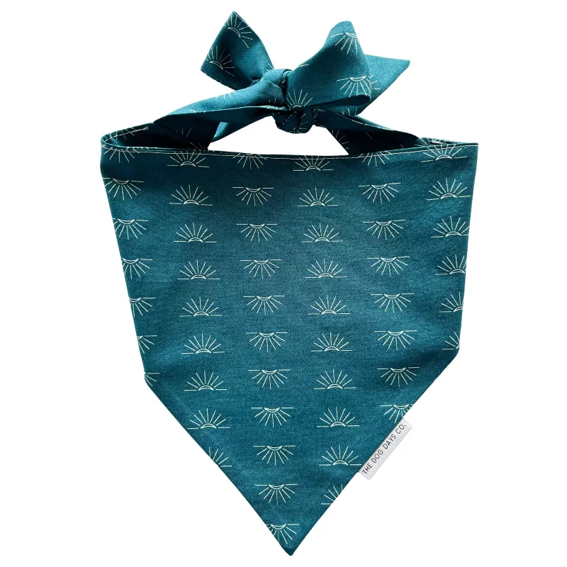 Sunny Side Up Bandana