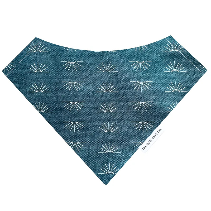 Sunny Side Up Bandana