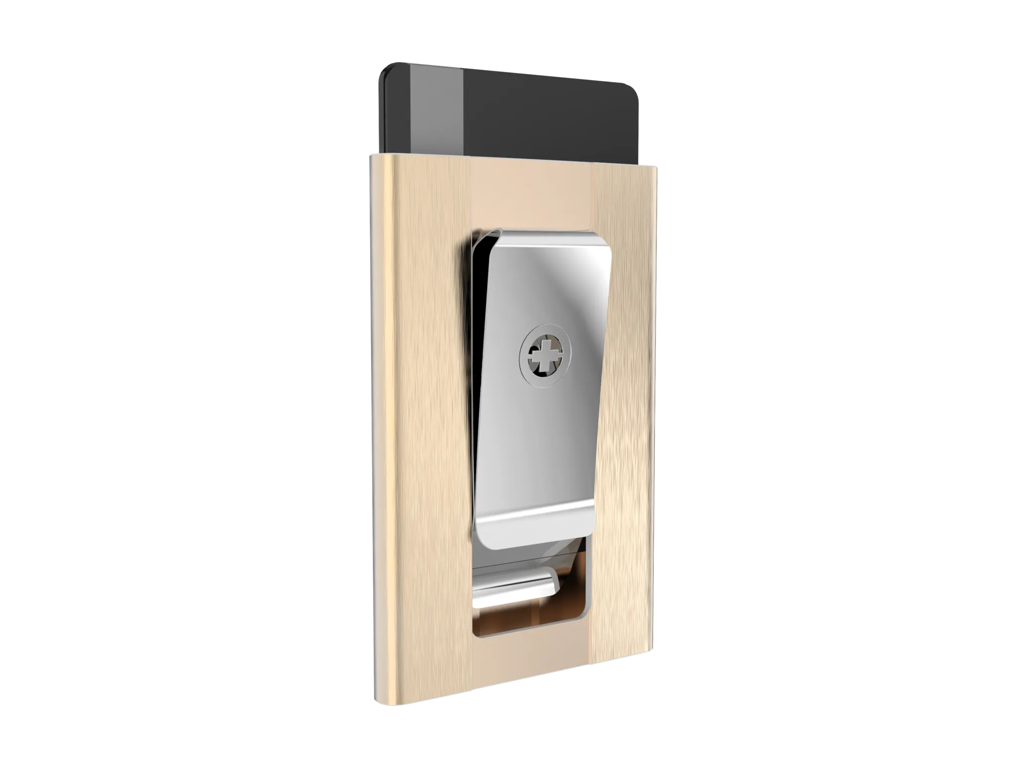 SWISS WALLET ICE, Cardholder Money-clip, brushed champagne