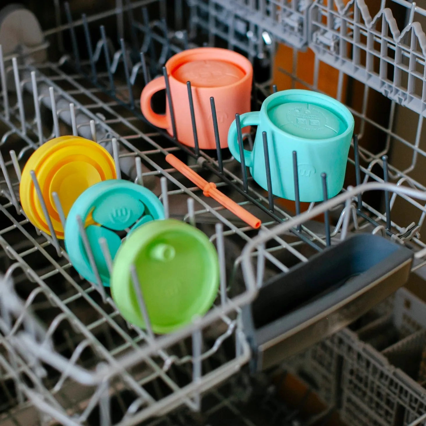 The Everything Sippy Lid & Straw