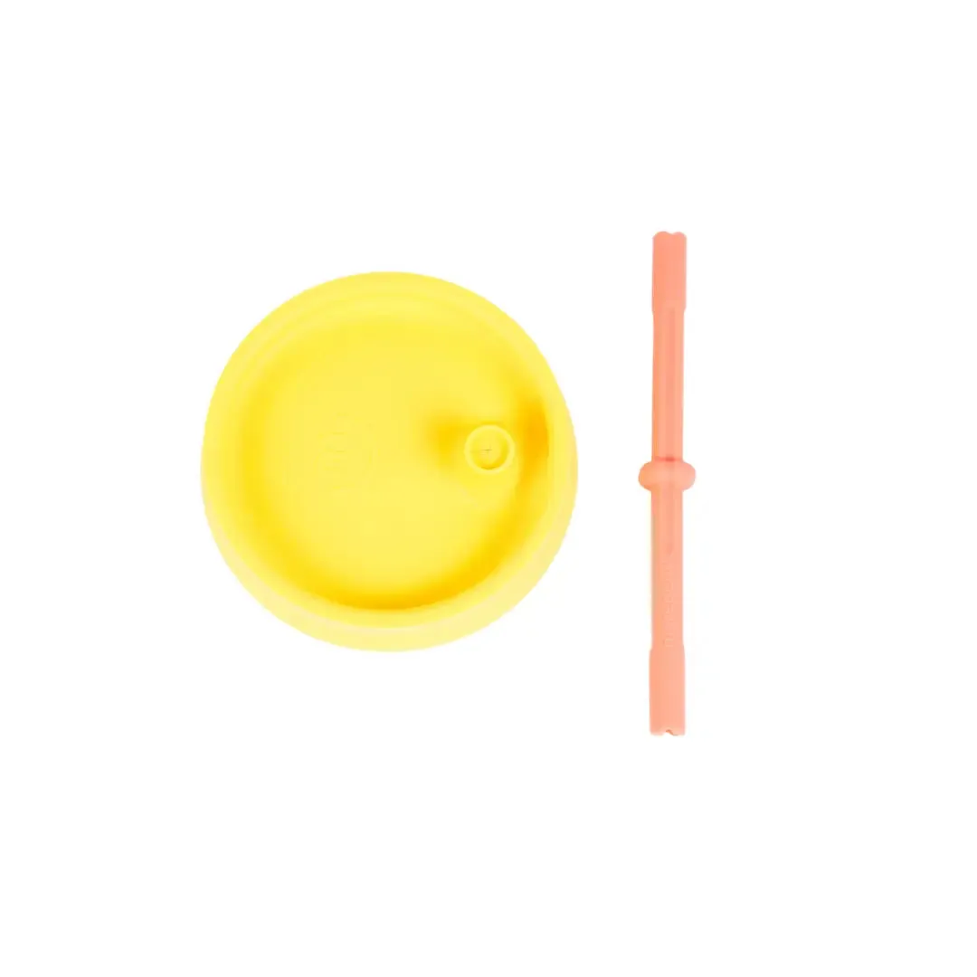 The Everything Sippy Lid & Straw