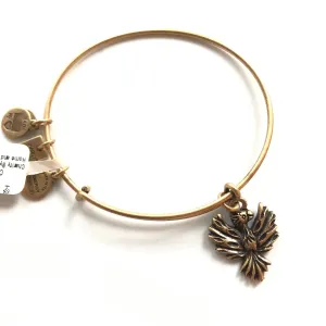 Women's Alex And Ani | Phoenix Home & Hospice Care Bracelet | Raf Gold